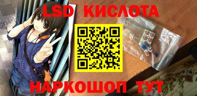 стафф Гатчина