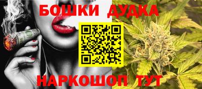 стафф Гатчина