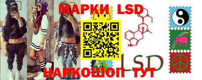 стафф Гатчина