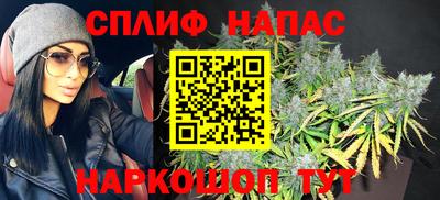 стафф Гатчина