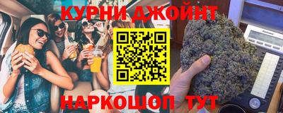 стафф Гатчина
