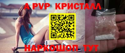стафф Гатчина
